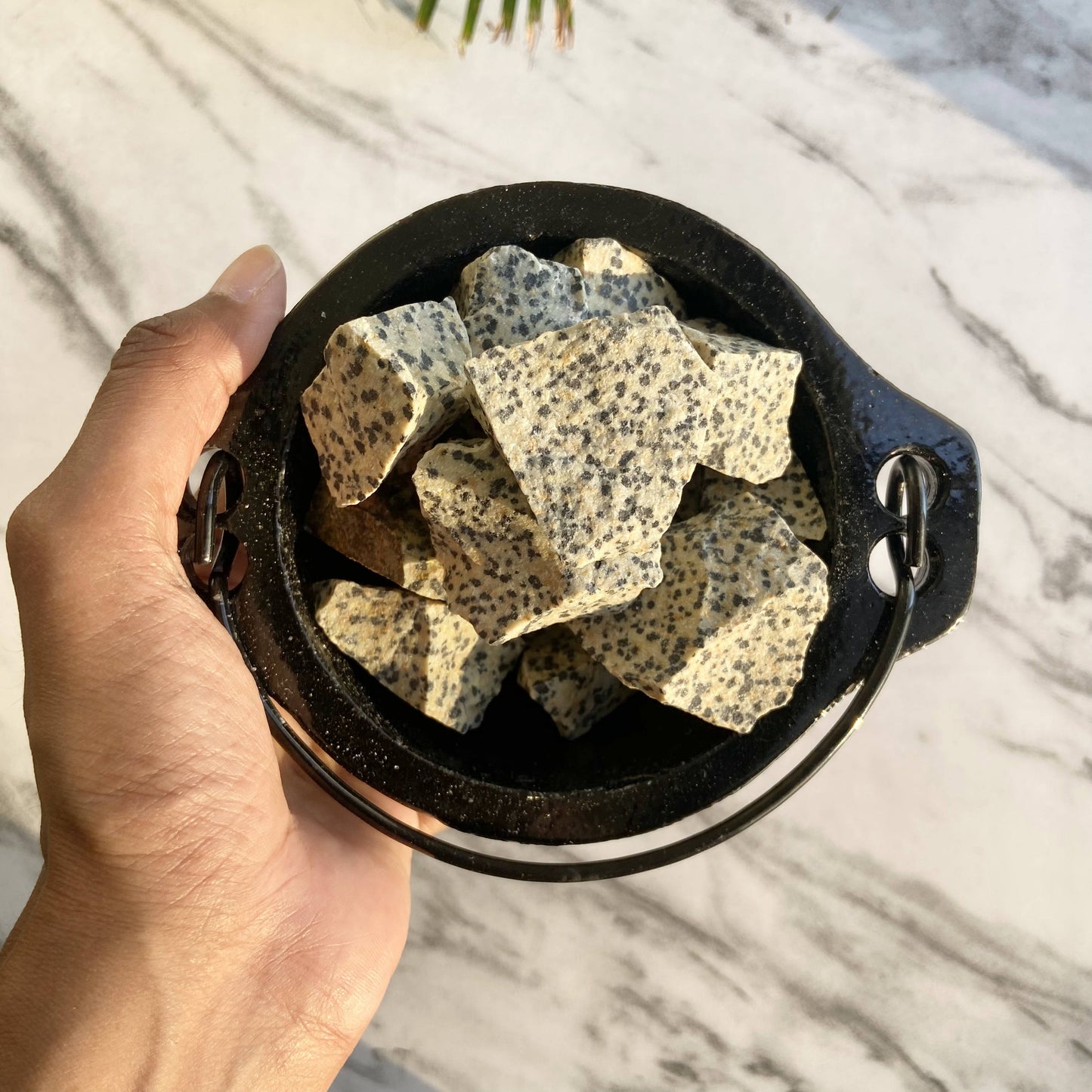 Dalmatian Jasper Raw Stone | Promotes Joy & Release Negativity