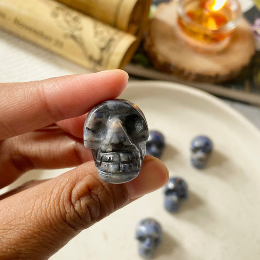 Sodalite Skull Crystal Carving | Stone for Emotional Balance