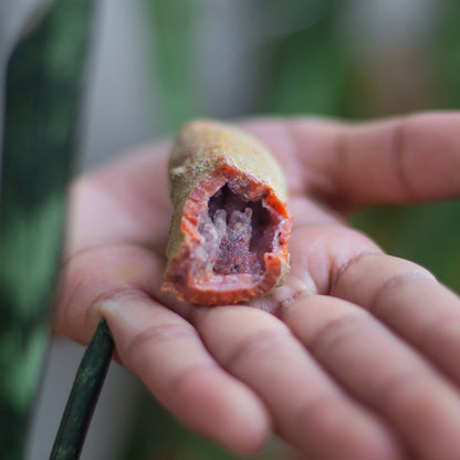 Calcite Geode - 34 Gm | Peace & Harmony