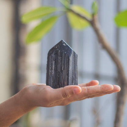 Raw Black Tourmaline with Polished Point - 271 Gm | Stone of Protection