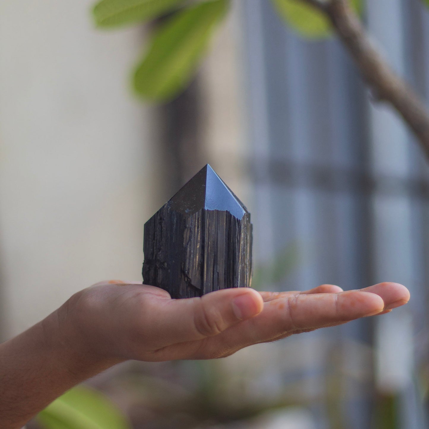 Raw Black Tourmaline with Polished Point - 230 Gm | Stone of Protection