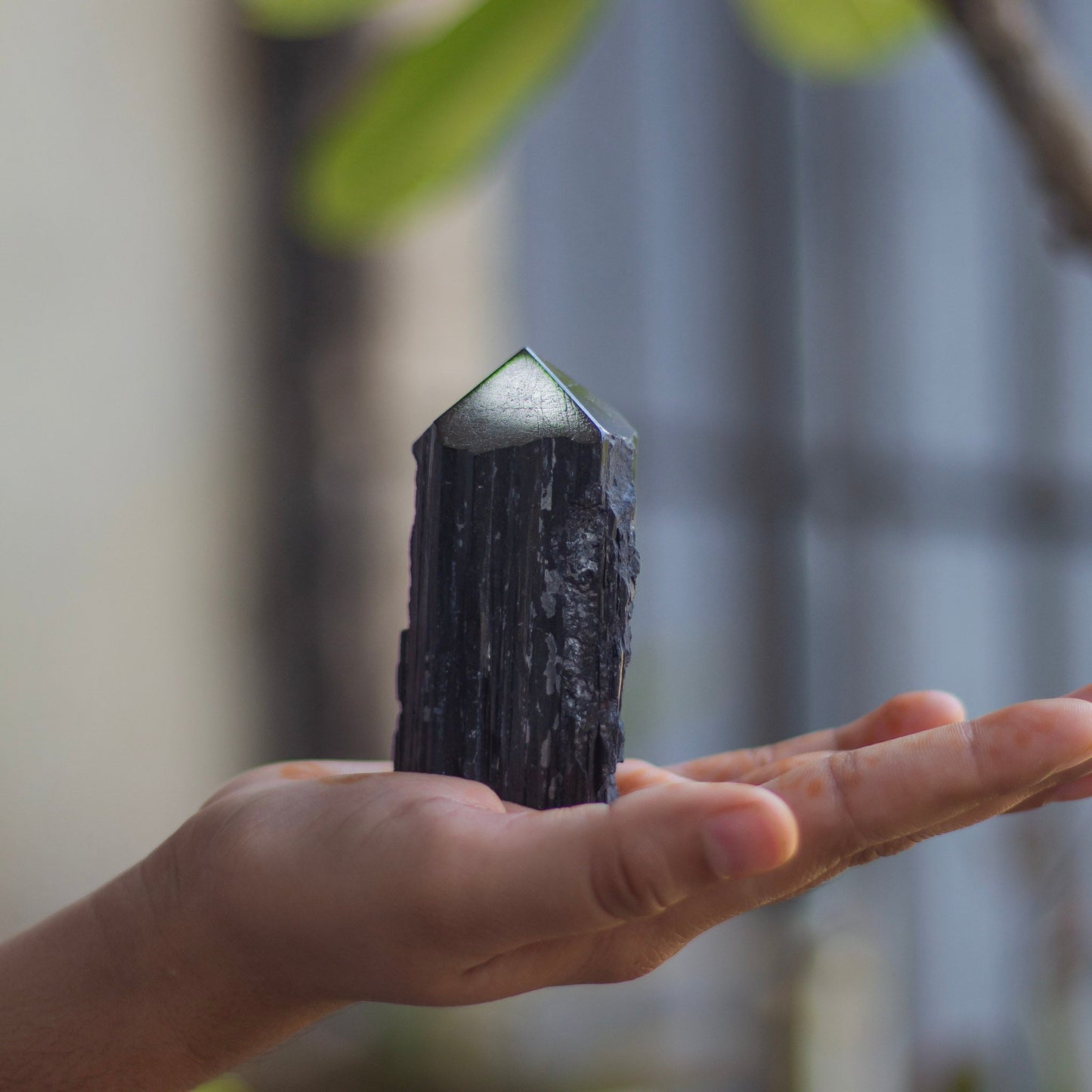 Raw Black Tourmaline with Polished Point - 180 Gm | Stone of Protection