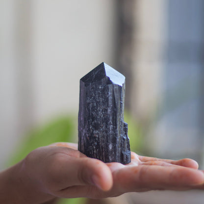 Raw Black Tourmaline with Polished Point - 171 Gm | Stone of Protection