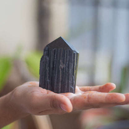 Raw Black Tourmaline with Polished Point - 183 Gm | Stone of Protection