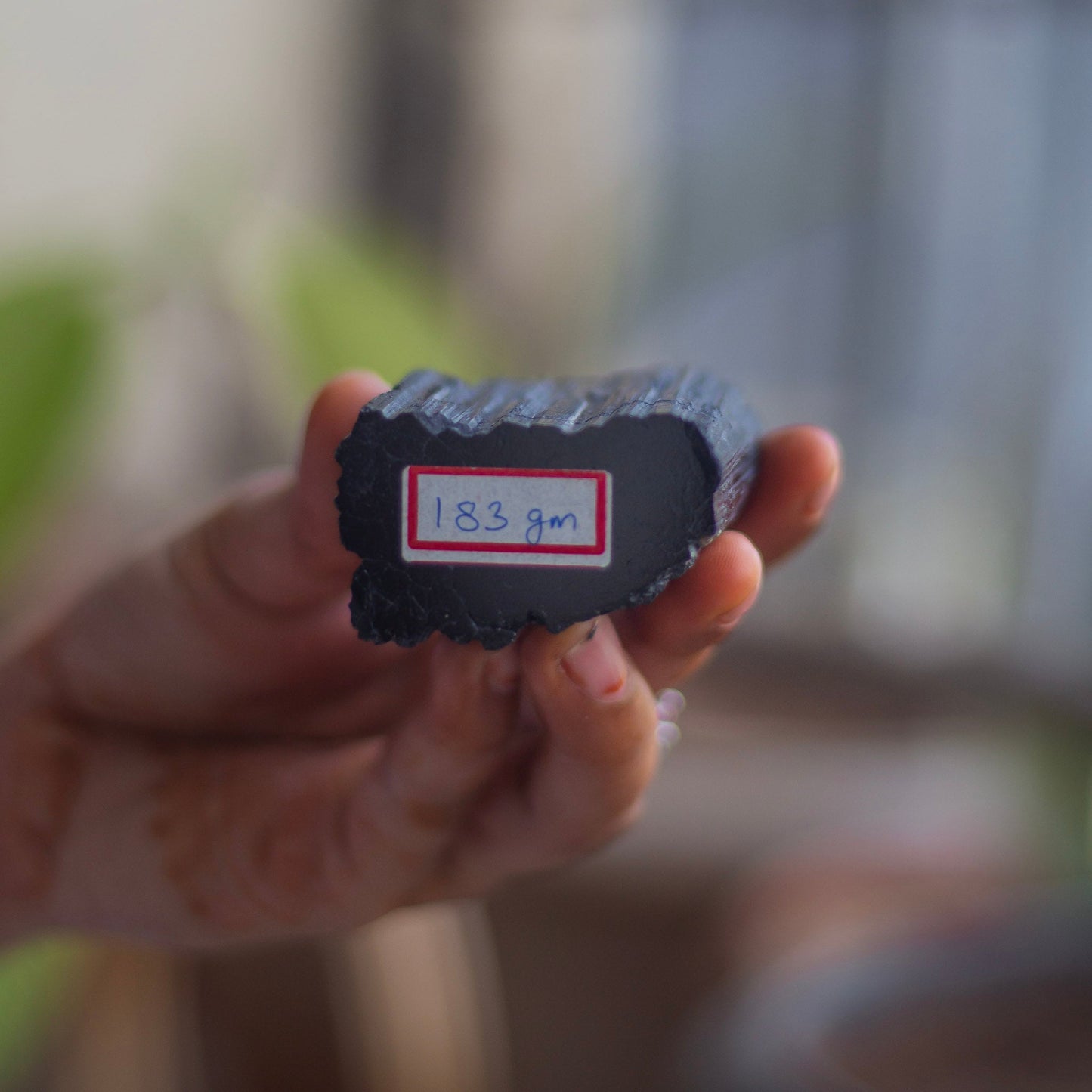 Raw Black Tourmaline with Polished Point - 183 Gm | Stone of Protection