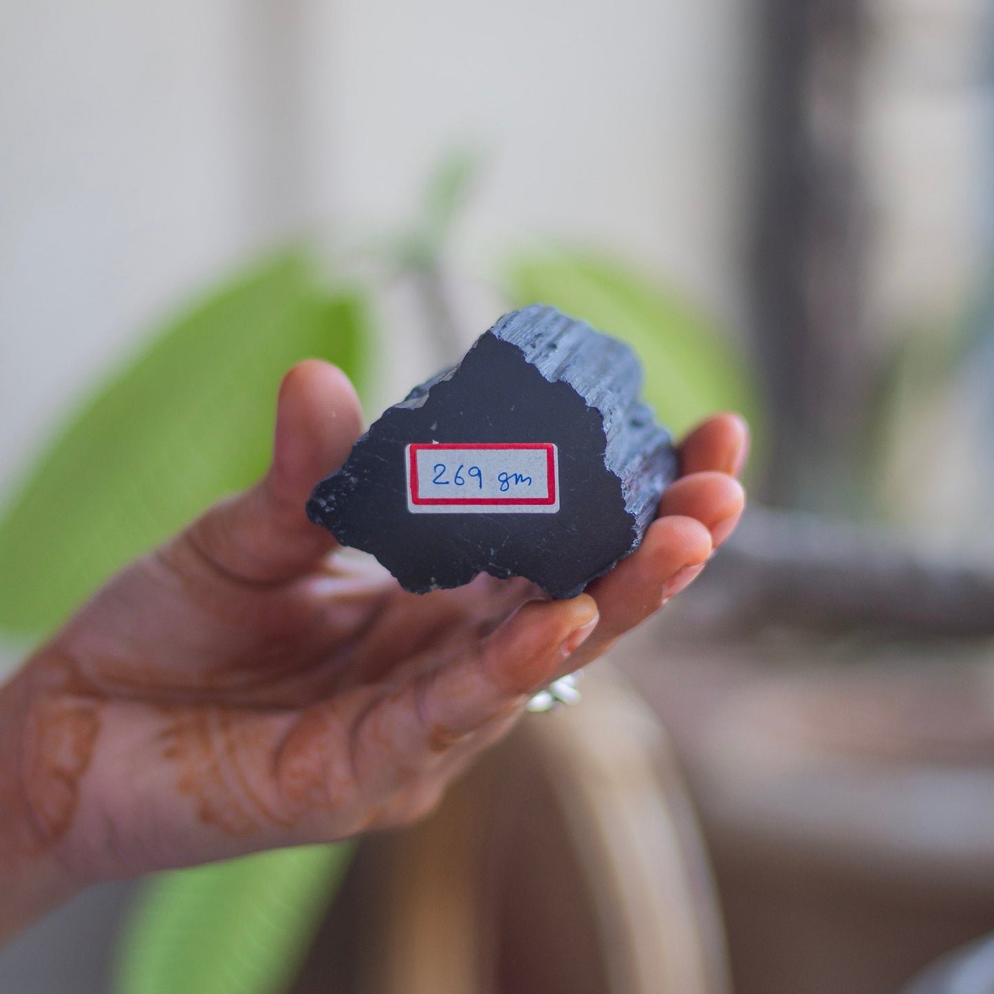 Raw Black Tourmaline with Polished Point - 269 Gm | Stone of Protection