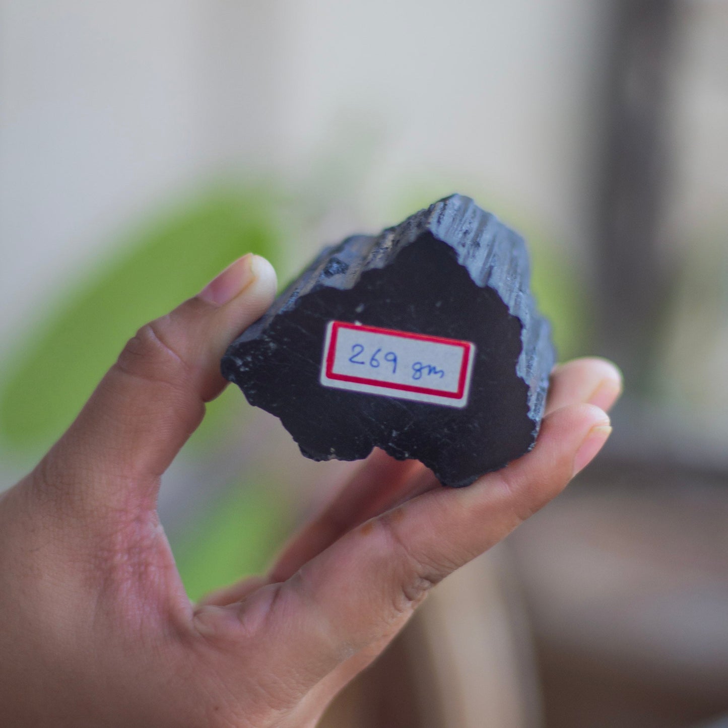 Raw Black Tourmaline with Polished Point - 269 Gm | Stone of Protection