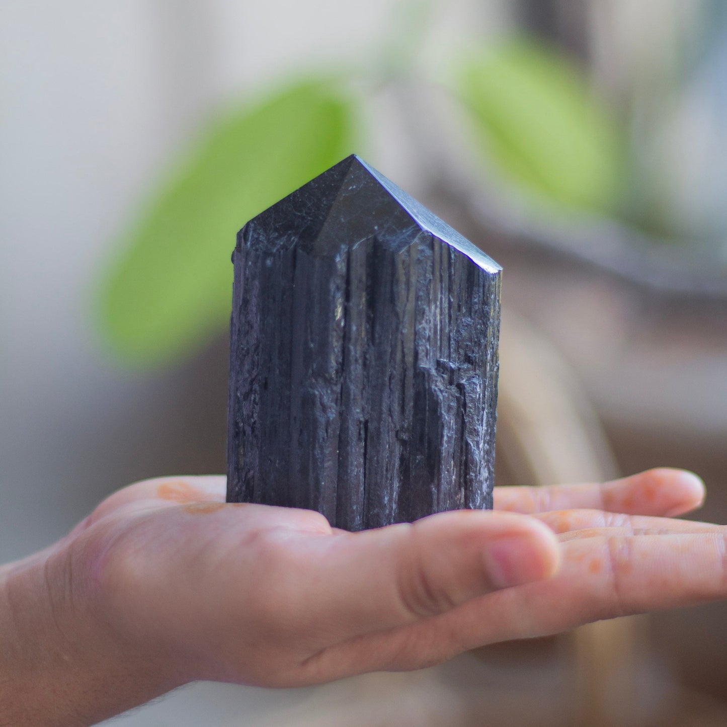 Raw Black Tourmaline with Polished Point - 241 Gm | Stone of Protection