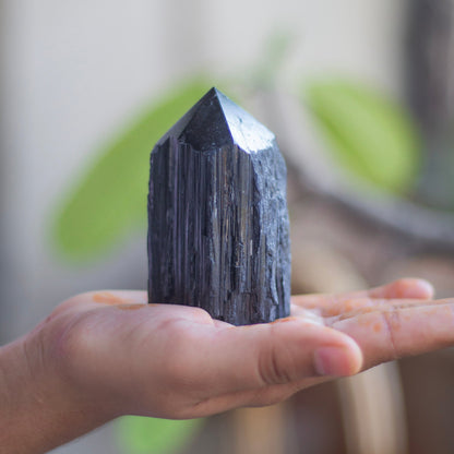 Raw Black Tourmaline with Polished Point - 208 Gm | Stone of Protection