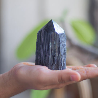 Raw Black Tourmaline with Polished Point - 208 Gm | Stone of Protection