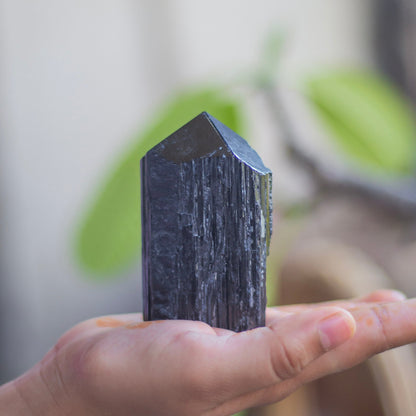 Raw Black Tourmaline with Polished Point - 213 Gm | Stone of Protection