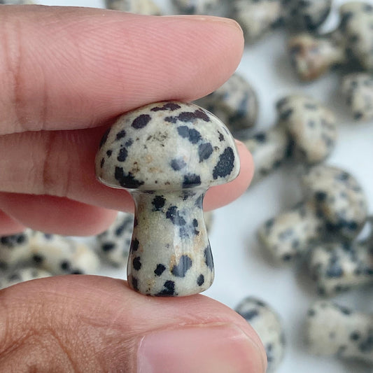 Dalmatian Jasper Mushroom | Promotes Joy & Release Negativity