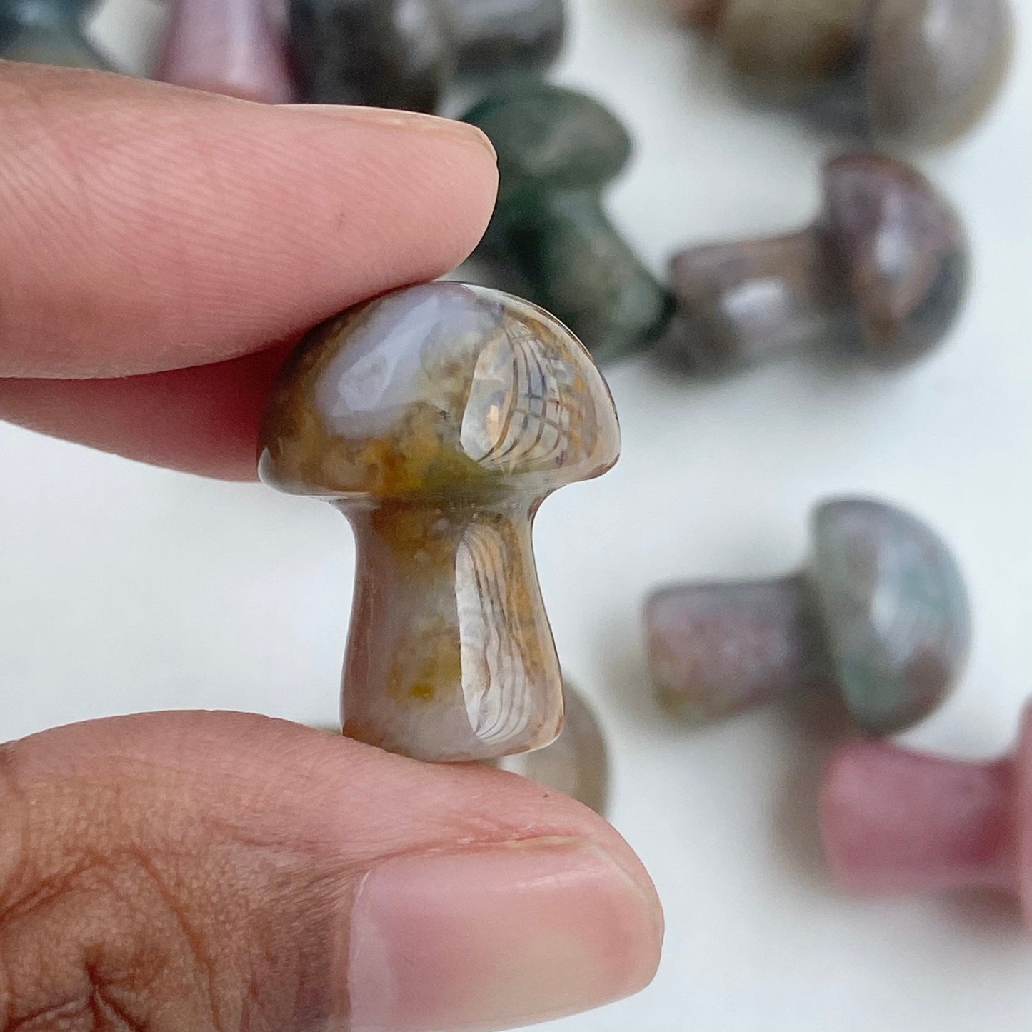 Bloodstone Mushroom | Stone for Getting rid of anxiety & depression