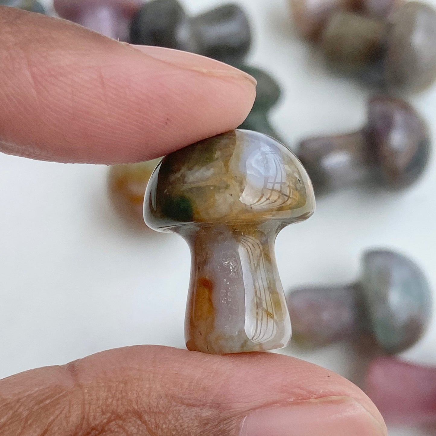 Bloodstone Mushroom | Stone for Getting rid of anxiety & depression