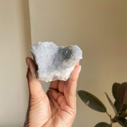 Celestite Cluster - 230 Gm