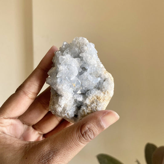 Celestite Cluster - 220 Gm