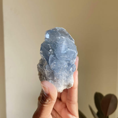 Celestite Cluster - 330 Gm