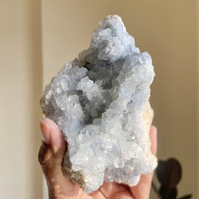 Load image into Gallery viewer, Celestite Cluster - 710 Gm
