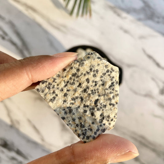 Dalmatian Jasper Raw Stone | Promotes Joy & Release Negativity