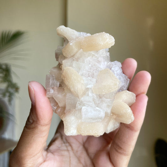 Apophyllite with Stilbite - 120 Gm