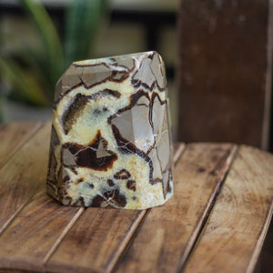 Septarian  free form with Druzy - 2 Kg