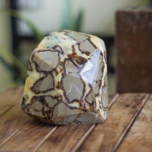 Septarian  free form with Druzy - 2 Kg