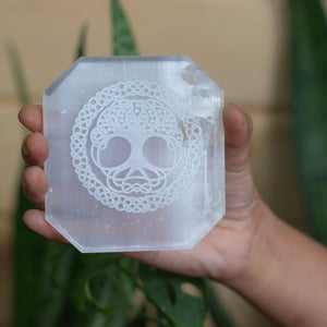 Tree of life symbol carved Selenite Plate