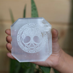 Tree of life symbol carved Selenite Plate
