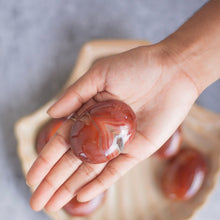 Load image into Gallery viewer, Red Agate with little druzy Palm Stone | Grounding &amp; Stability
