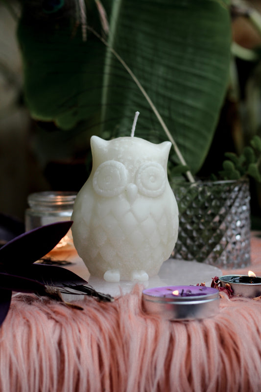 Owl White Candle | Voodoo Candle
