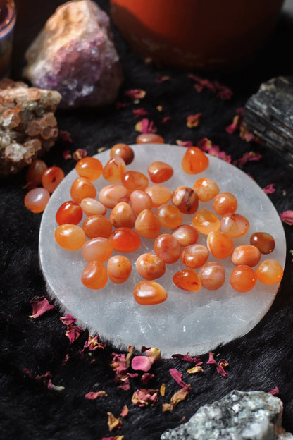 Orange Carnelian Tumble - Pack of 3 Small Stones