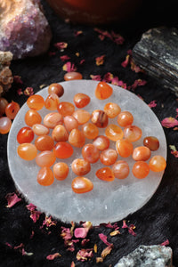 Orange Carnelian Tumble - Pack of 3 Small Stones