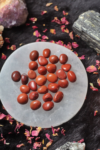 Red Jasper Tumble - Pack of 3 Small Stones