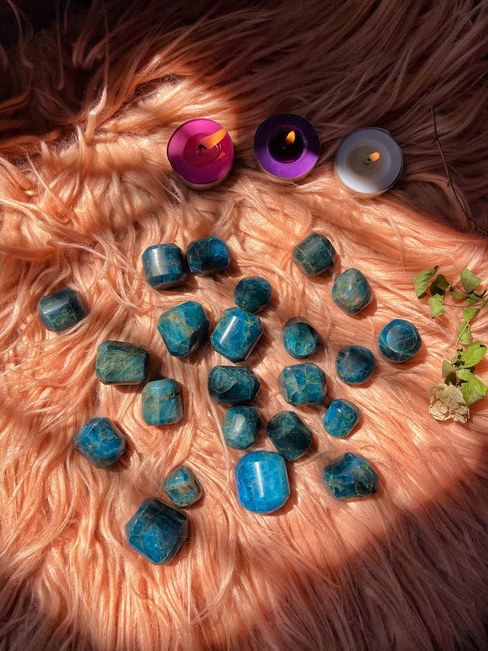 Blue Apatite Tumble Stone | Stone of Motivation - 1 Tumble