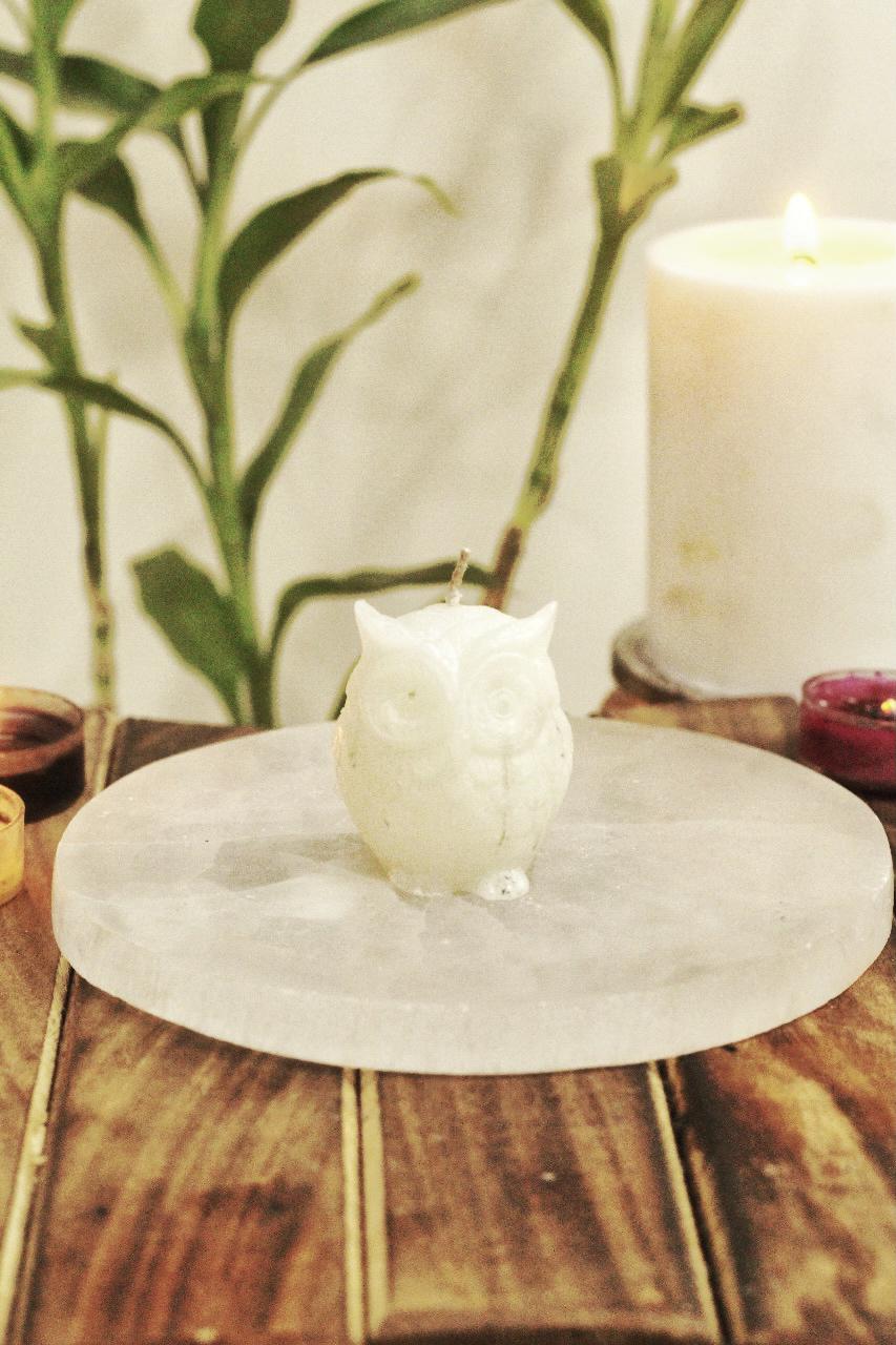 Owl Candle - Set of 4 | Figure Candle