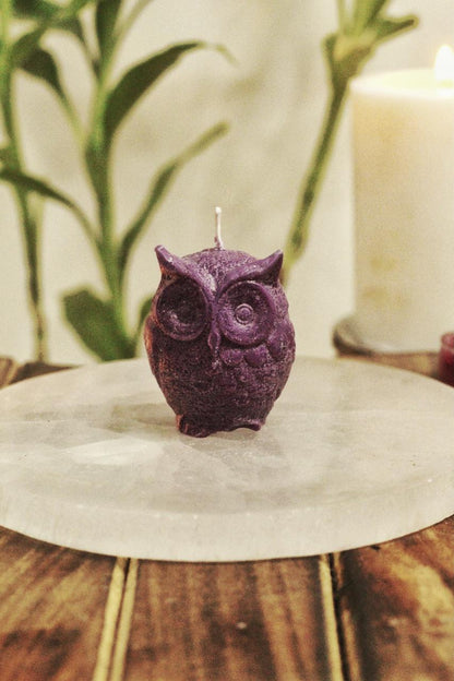Purple Owl Candle