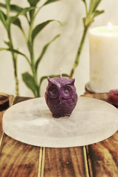 Owl Candle - Set of 4 | Figure Candle
