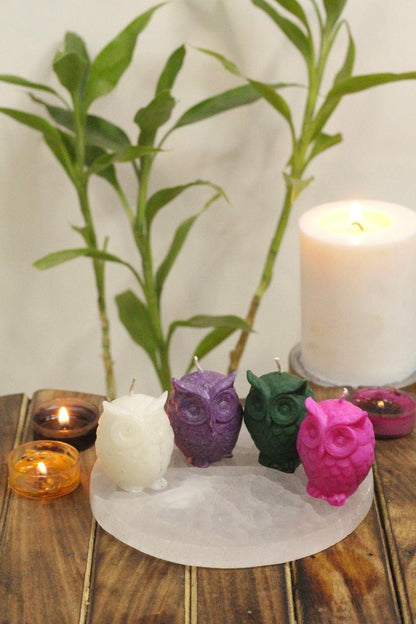 Owl Candle - Set of 4 | Figure Candle