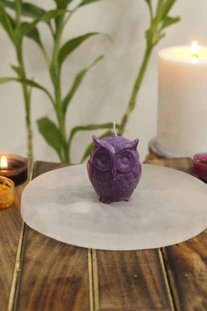 Purple Owl Candle