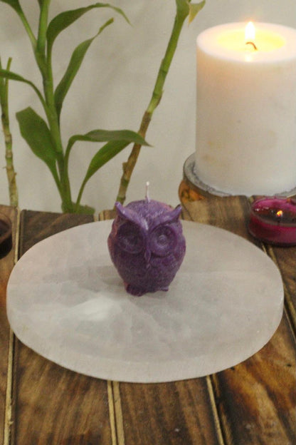 Purple Owl Candle